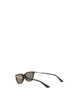 Alexander McQueen Brown Acetate Sunglasses