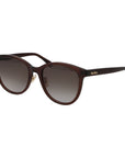 Max Mara Brown Acetate Sunglasses