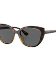 Armani Exchange Brown Injected Sunglasses