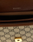 Gucci Brown Polyethylene Handbag