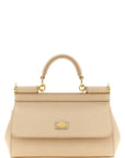 Dolce & Gabbana Multicolor Calfskin Handbag