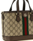 Gucci Multicolor Polyethylene Crossbody Bag