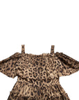 Dolce & Gabbana Brown Leopard Print Sleeveless A-line Dress