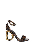 Dolce & Gabbana Brown Leather Sandals