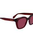 Ferragamo Multicolor Injected Sunglasses