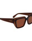 Ferragamo Brown Acetate Sunglasses
