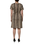 Dolce & Gabbana Brown DG Logo Chain Short-Sleeve Sheath Dress