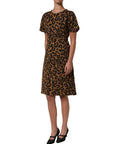 Dolce & Gabbana Brown LeopardPrint Flared A-line Mini Dress