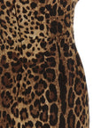 Dolce & Gabbana Brown Silk Midi Dress