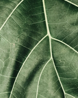 Detergente viso purificante anti-imperfezioni