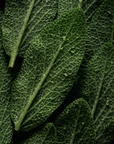 Spray viso prebiotica per il microbioma